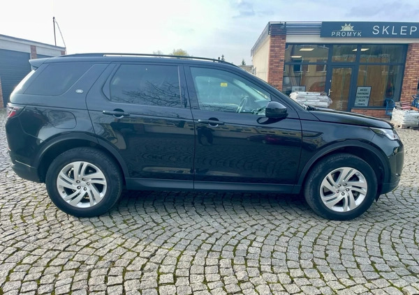 Land Rover Discovery Sport cena 149000 przebieg: 36000, rok produkcji 2020 z Syców małe 232